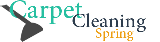 Carpet Cleaning Spring